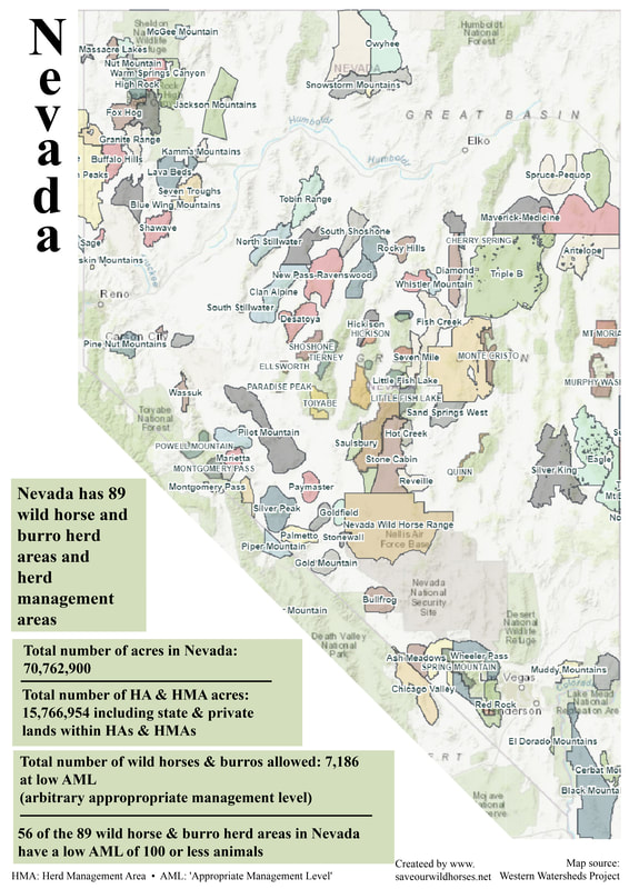 State by State Herd Info